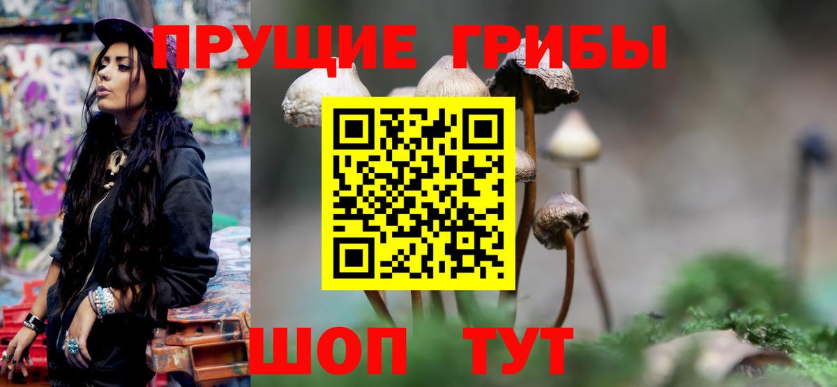Кубинка  Галлюциногенные грибы Cubensis  Галлюциногенные грибы Cubensis  Вход с VPN 