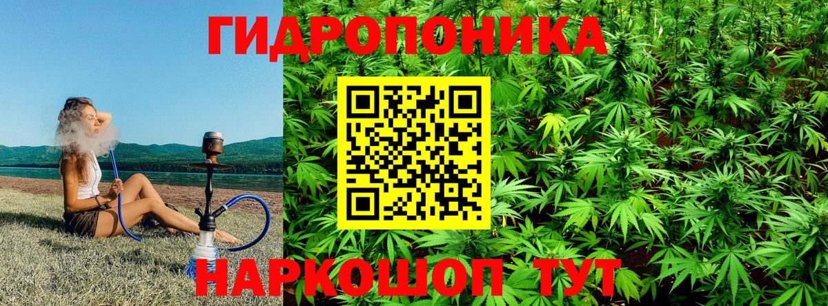 Кубинка  МАРИХУАНА THC 21%  Вход с VPN  Каннабис марихуана 